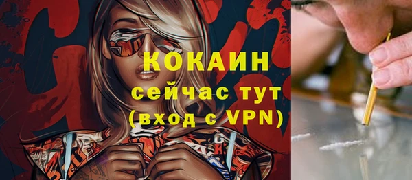 МДПВ Абаза