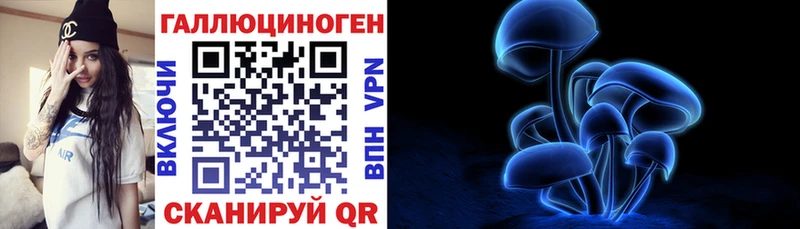закладки  Галич  Псилоцибиновые грибы мухоморы 